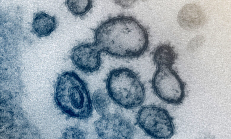 Wuhan lab leak theory replaces Covid facts on White House website