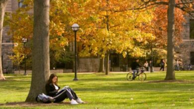 When is going to college not worth the money?