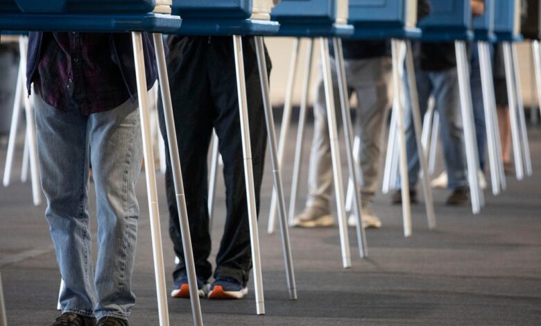Michigan joins 18 other states to block Trump’s election order, saying it violates the Constitution Michigan joins 18 other states to block Trump’s election order, saying it violates the Constitution