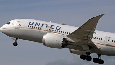 United flight from Houston appeared to hit a kite while landing at D.C. airport