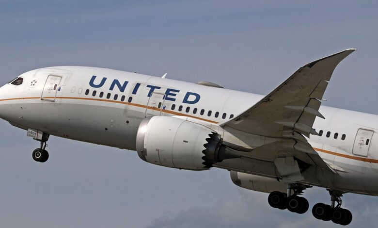 United flight from Houston appeared to hit a kite while landing at D.C. airport United flight from Houston appeared to hit a kite while landing at D.C. airport
