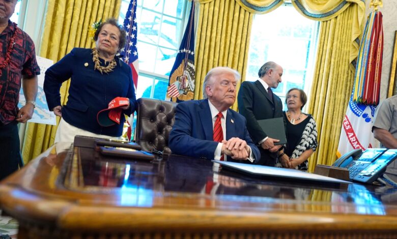 Law firms, universities, civil society groups in Trump’s sights for punitive action Law firms, universities, civil society groups in Trump’s sights for punitive action