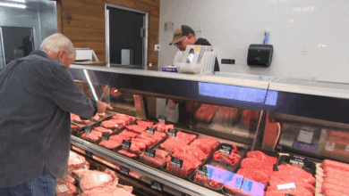 U.S. beef prices reach record highs as cattle industry struggles to keep costs down