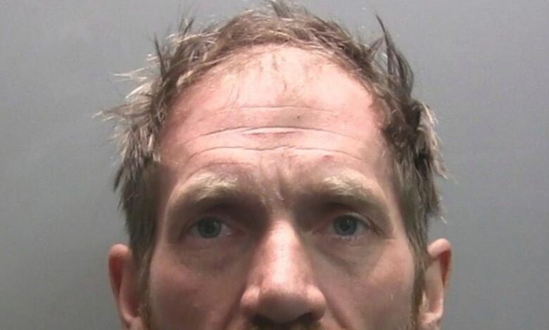 2 men convicted of cutting down beloved Sycamore Gap tree in northern England in 2023 2 men convicted of cutting down beloved Sycamore Gap tree in northern England in 2023
