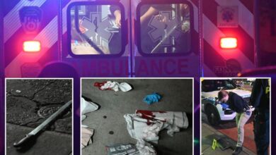 2 men stab each other with machete on NYC street