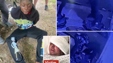 23-year-old thug suspected of beating off-duty NYPD officer in caught-on-camera assault is nabbed