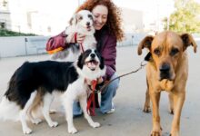 Amazon Pet Day Is Here: Spoil Your Fur Baby And Save While Doing It