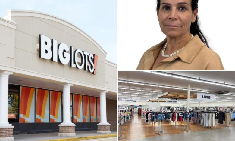 Big Lots was ‘too expensive’ —says discounter’s new owner Big Lots was ‘too expensive’ —says discounter’s new owner