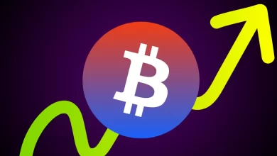 Bitcoin Hits New All-time High Price 9,800— Veteran Trader Says Bull Run Begins