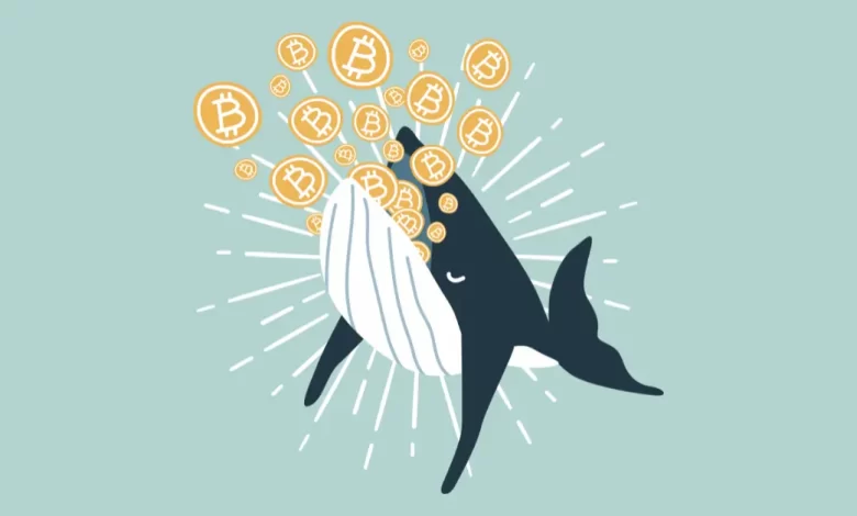The Blockchain Group Completes a €63.3M Convertible Bonds Issuance to Strengthen its Bitcoin Holding