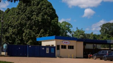 Brazil slaughterhouses reduce ties to Amazon deforestation, but cattle laundering remains issue