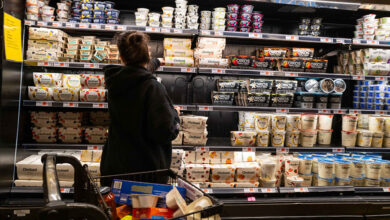 Consumer sentiment slides to second-lowest on record as inflation expectations jump after tariffs