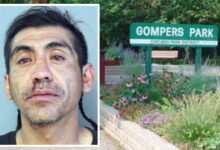 Crowd beats, robs community safety liaison in Gompers Park