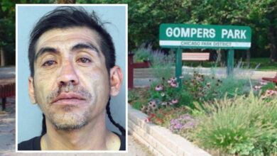 Crowd beats, robs community safety liaison in Gompers Park