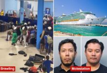 Cruise ship crime reaches 2-year high, casting ‘dark cloud’ for travelers: expert
