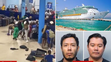 Cruise ship crime reaches 2-year high, casting ‘dark cloud’ for travelers: expert