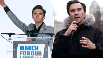 DNC panel votes to void David Hogg’s election to Democratic vice chair 