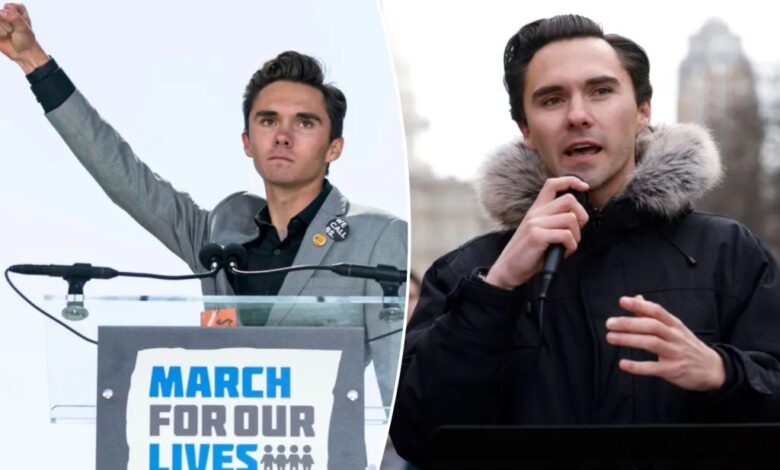 DNC panel votes to void David Hogg’s election to Democratic vice chair DNC panel votes to void David Hogg’s election to Democratic vice chair