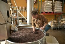 Denver coffee roasters navigate tariff impacts, climate change