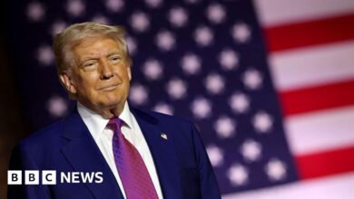 Donald Trump’s tariff plans could spark global economic shock