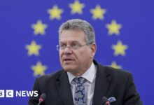 EU calls for US trade deal based on ‘respect’ after Trump’s tariff threats