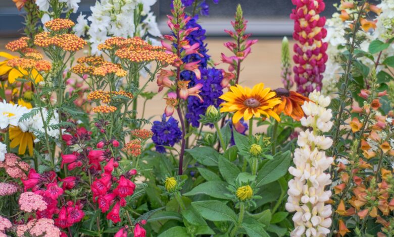 Everything you need to know about chaos gardening Everything you need to know about chaos gardening