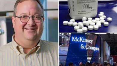 Ex-McKinsey partner sentenced to 6 months in prison for obstructing probes into opioid crisis