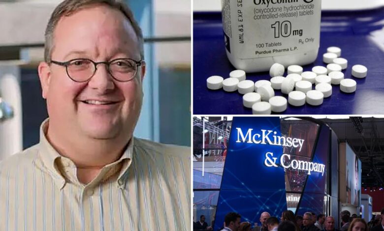 Ex-McKinsey partner sentenced to 6 months in prison for obstructing probes into opioid crisis Ex-McKinsey partner sentenced to 6 months in prison for obstructing probes into opioid crisis