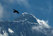 Expedition organizers say 2 climbers have died on Mount Everest