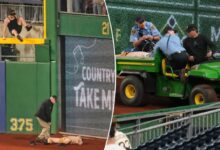Fan who fell 21 feet onto field at Pirates game now awake