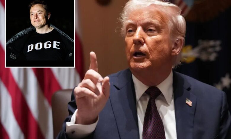 Federal Judge Susan Illston pauses Trump admin mass layoffs Federal Judge Susan Illston pauses Trump admin mass layoffs