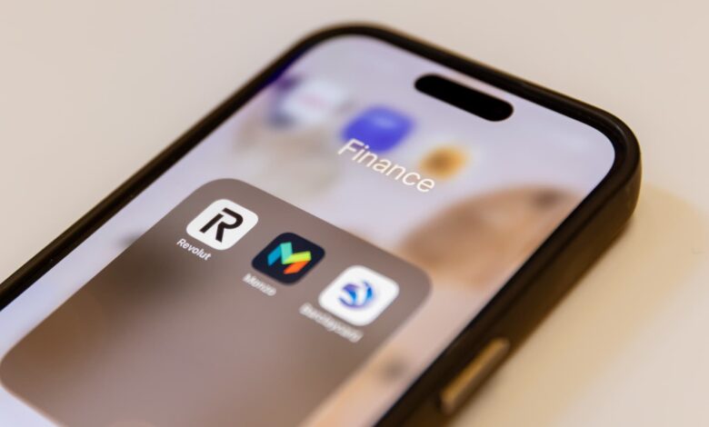 Fintechs that made profits from high interest rates now face key test Fintechs that made profits from high interest rates now face key test