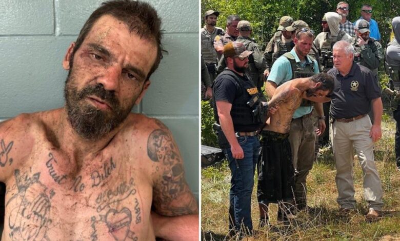 Florida woman escapes storage container she was being held in after brutal assault: sheriff