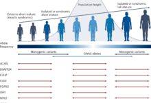 Genetic factors highlight the many ways health and height are linked