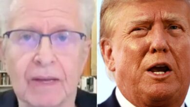 Harvard’s Laurence Tribe Delivers Unflinching Message To Foreign Students In Trump’s Crosshairs