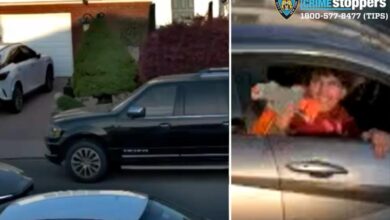 Heartless sicko fires pellet gun at woman holding 2-month-old baby girl in NYC: cops