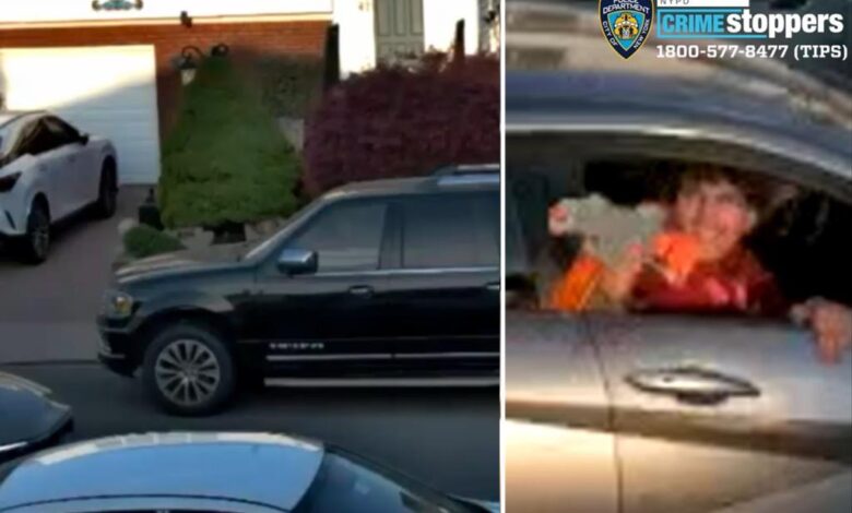 Heartless sicko fires pellet gun at woman holding 2-month-old baby girl in NYC: cops Heartless sicko fires pellet gun at woman holding 2-month-old baby girl in NYC: cops