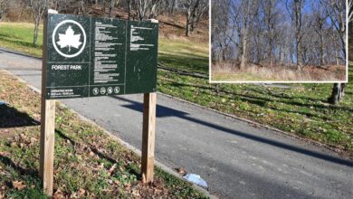 Hero dad rescues 11-year-old daughter from perv who dragged her into a remote area of NYC Park: cops