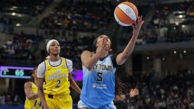 How many points did Chicago Sky superstar score in preseason game vs Brazil? (May 2)