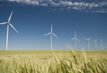 How the U.S. clean energy boom could go bust if Trump’s ‘big, beautiful bill’ becomes law