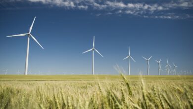 How the U.S. clean energy boom could go bust if Trump’s ‘big, beautiful bill’ becomes law