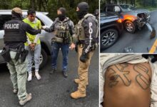 ICE busts Salvadoran gangbanger from violent 18th Street gang after wild car chase