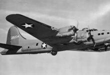 Illinois man has spent 40 years rebuilding a WWII-era B-17 bomber in his barn
