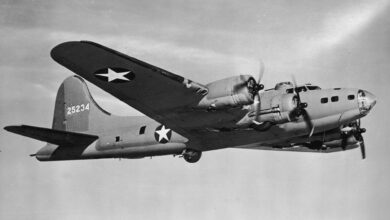 Illinois man has spent 40 years rebuilding a WWII-era B-17 bomber in his barn