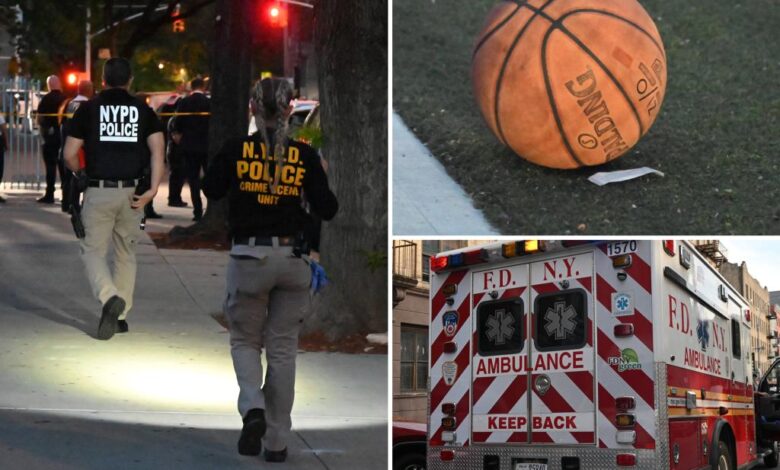 Innocent 16-year-old girl shot in head and killed outside NYC charter school: cops Innocent 16-year-old girl shot in head and killed outside NYC charter school: cops