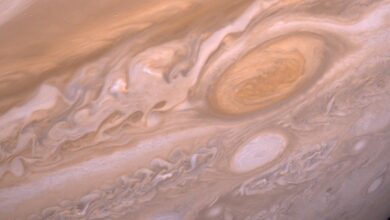 Jupiter was once twice as large as it is today