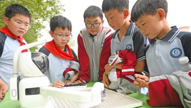 Key AI hub China restricts schoolchildren’s use of the tech