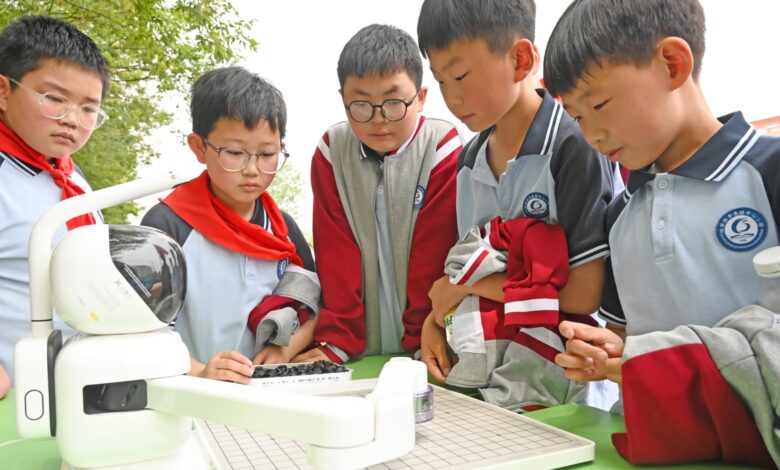 Key AI hub China restricts schoolchildren’s use of the tech Key AI hub China restricts schoolchildren’s use of the tech
