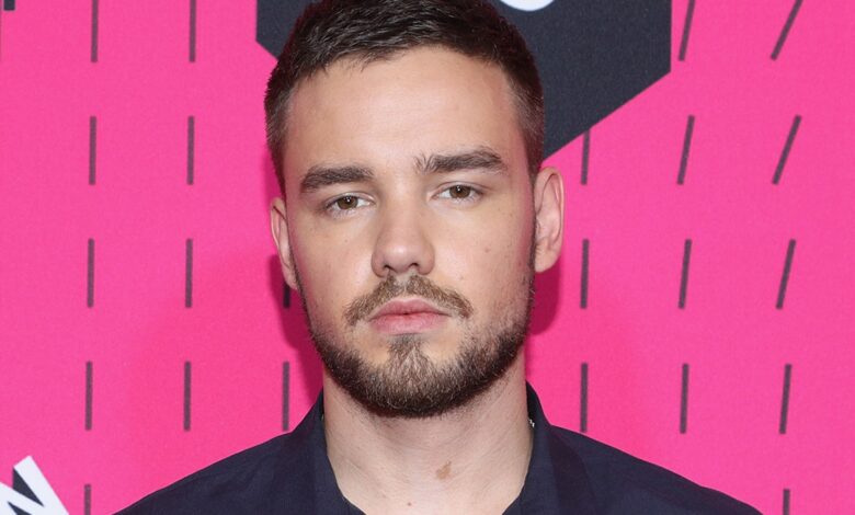 Liam Payne’s Baby Mama Named Executor of M Estate, Trust Likely for Son Liam Payne’s Baby Mama Named Executor of M Estate, Trust Likely for Son