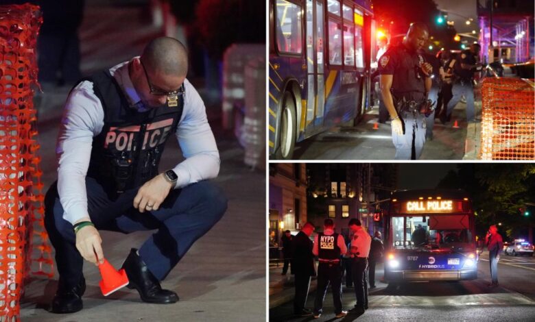 Longtime New Yorker walking on Central Park West is grazed by stray bullet in ‘terrifying’ ordeal Longtime New Yorker walking on Central Park West is grazed by stray bullet in ‘terrifying’ ordeal